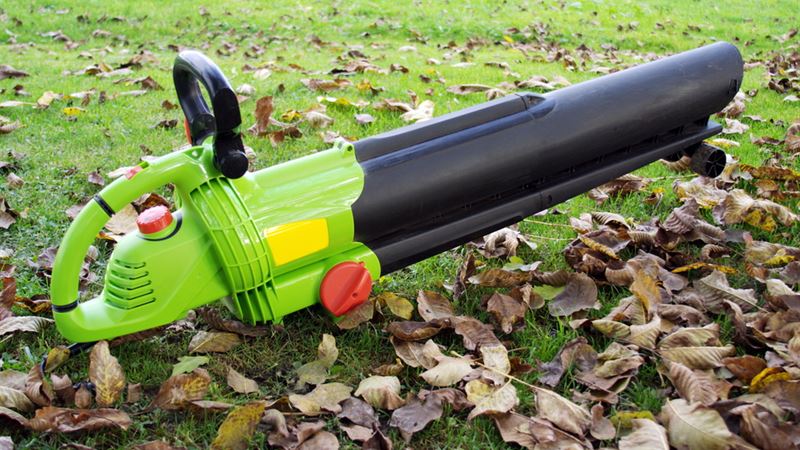 Comprehensive Guide to Selecting the Perfect Gas Leaf Blower for Your Landscaping Needs