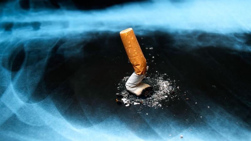 Comprehensive Guide to Lung Cancer Risk Factors and Prevention Strategies