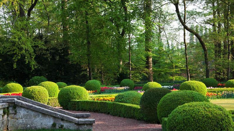 Create an Enchanting and Memorable Garden Experience for Visitors