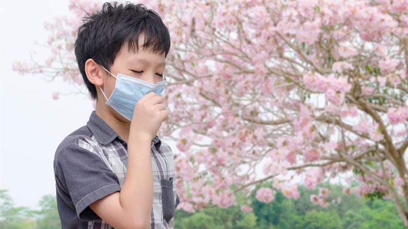 Comprehensive Strategies to Alleviate Pollen Allergy Symptoms Naturally