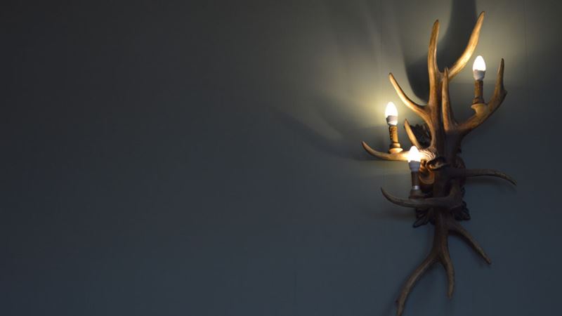 Comprehensive Guide to Buying Wall and Floor Lighting Online