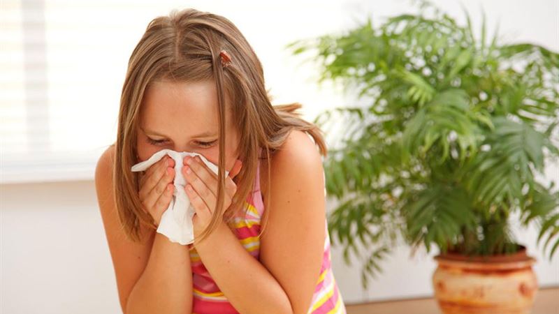 Comprehensive Strategies for Managing Allergy Symptoms Effectively