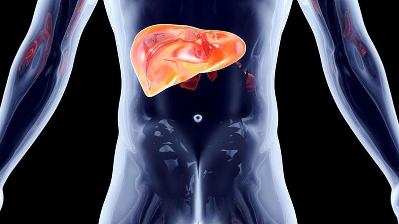 Understanding the Implications of Stage 4 Hepatitis C on Liver Health