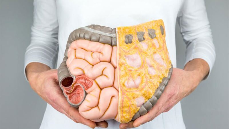 Effective Dietary Strategies to Alleviate Symptoms of Stomach Cancer