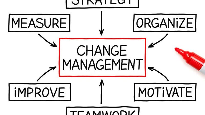 Harnessing the Power of Transformational Leadership for Organizational Success