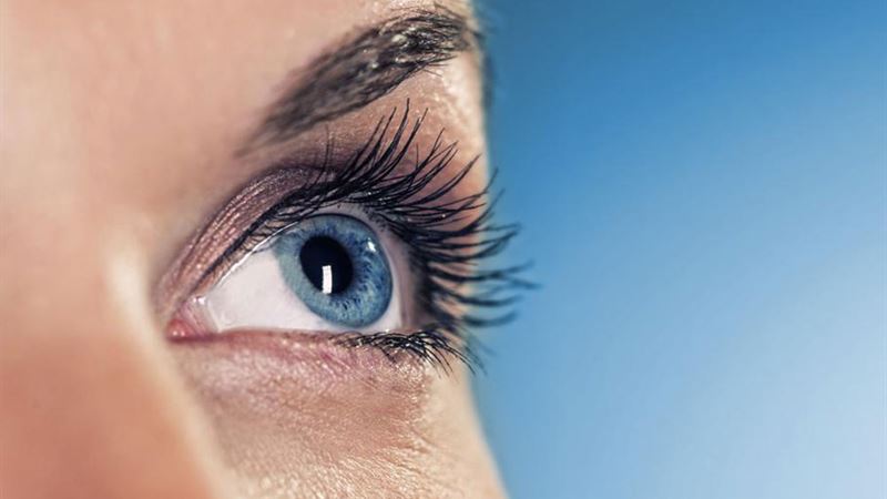 Comprehensive Guide to the Top Nutritional Supplements for Maintaining and Enhancing Eye Health