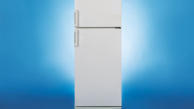 Comprehensive Guide to LG Refrigerators: Features, Types, and Buying Tips