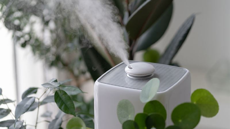 Ultimate Guide to Black Friday Deals on HEPA Air Purifiers for a Healthier Home