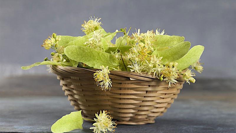 Comprehensive Strategies for Effective Gout Management