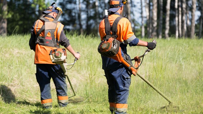 Comprehensive Guide to Different Types of Weed Eaters and Trimming Devices