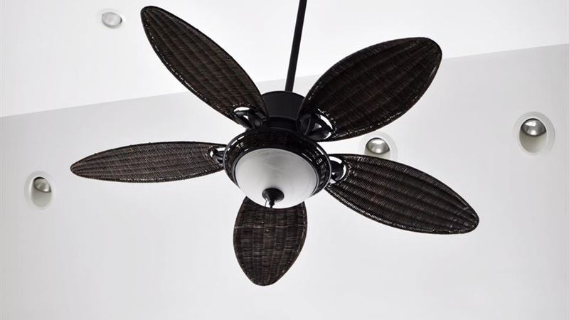 Top Ceiling Fan Brands You Should Know in 2024
