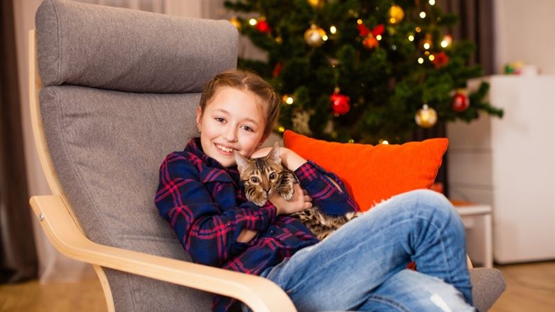 Your Ultimate Guide to Free Cat Adoption: How to Find a Feline Companion at No Cost