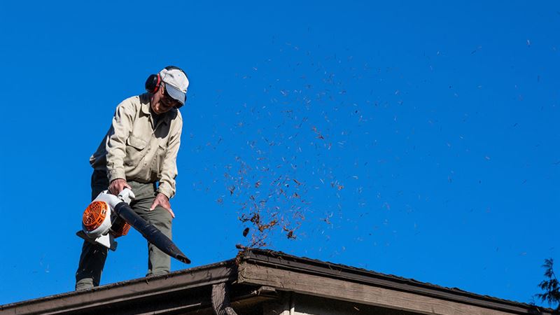Top 6 Powerful Leaf Blowers Ideal for Gutter Maintenance
