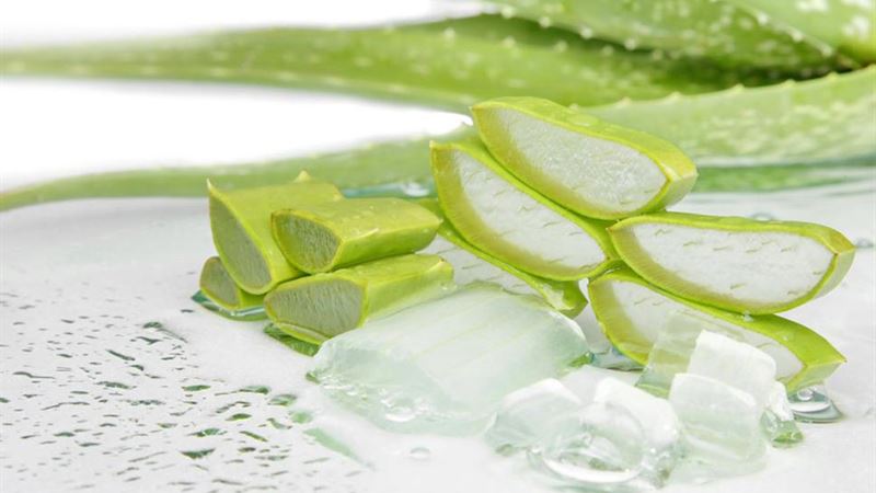 Comprehensive Guide to Fire Ant Bites: Symptoms and Effective Home Remedies