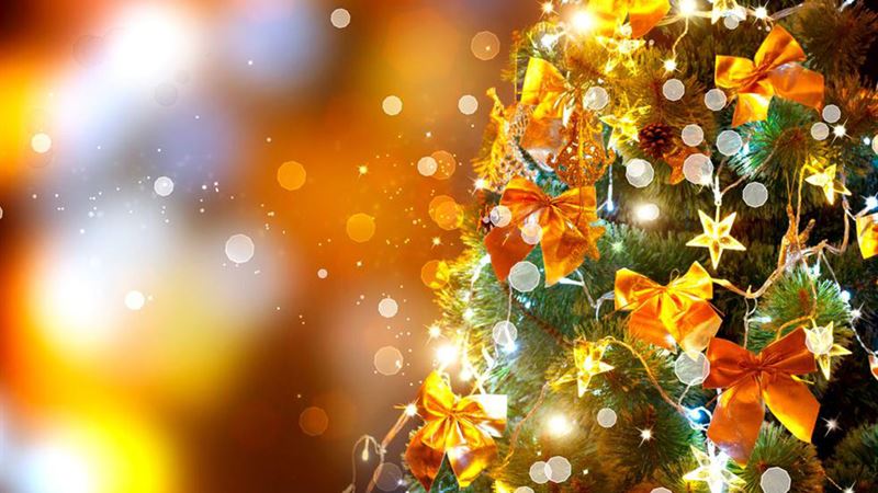 Ultimate Guide to Finding Exceptional Black Friday Christmas Tree Deals