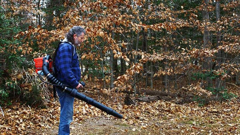 Comprehensive Guide to Different Types of Leaf Blowers for Garden Maintenance