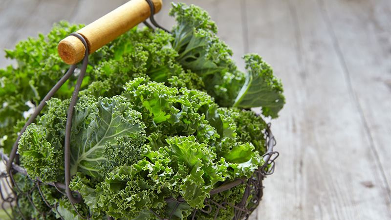 Managing Macular Degeneration: Essential Dietary Guidelines and Treatment Options