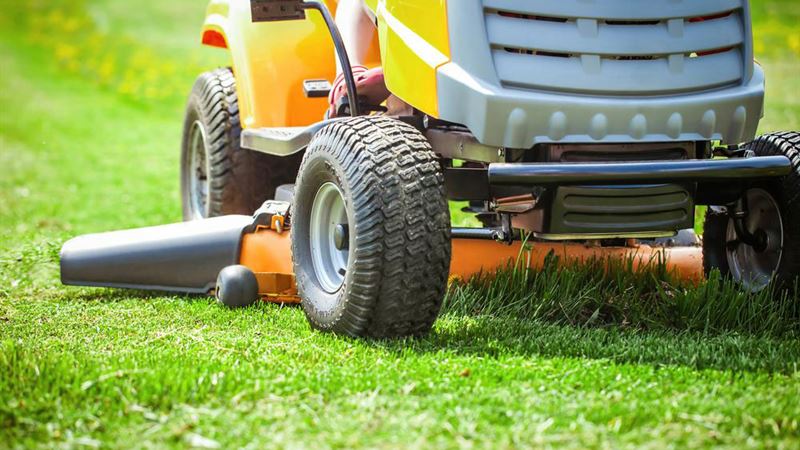 Comprehensive Guide to Hiring a Professional Grass Cutting Service