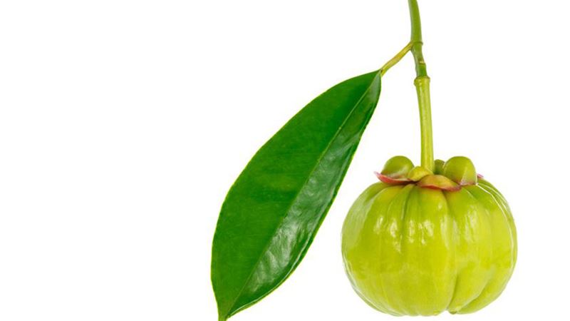 Unlocking the Health Potential of Garcinia: A Comprehensive Guide to the Fruit’s Benefits and Risks