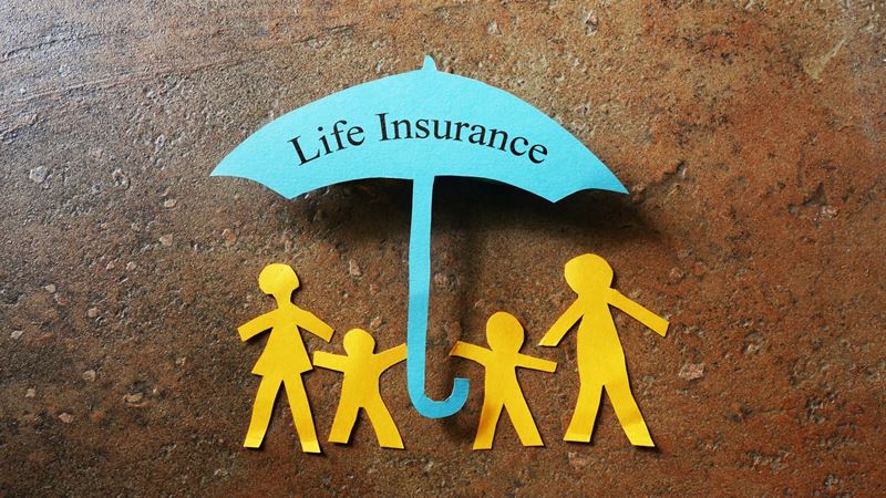 Ultimate Guide to Life Insurance Providers in India: Everything You Need to Know