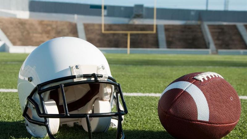 Comprehensive Guide to American Football Terminology and Player Roles for Better Understanding of the Game