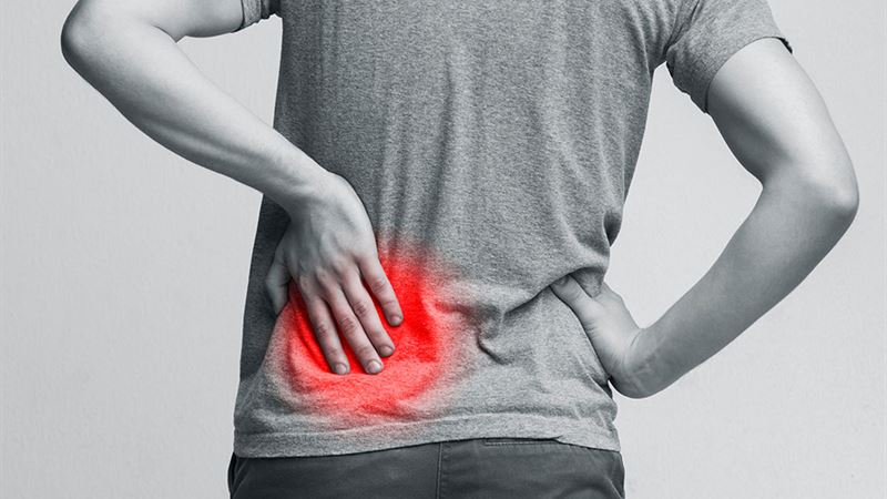 Comprehensive Guide to Kidney and Liver Health: Essential Insights and Preventive Measures