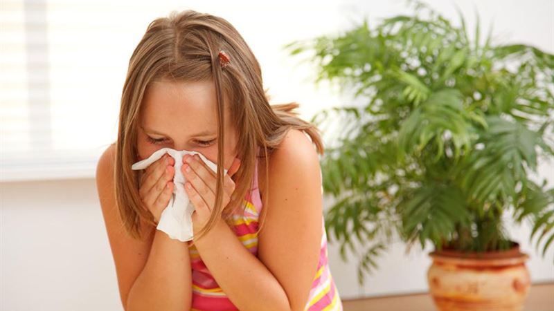 Comprehensive Guide to Managing and Treating Allergic Reactions