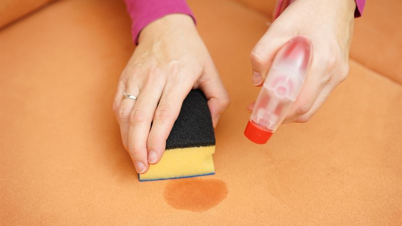 Effective Strategies for Eliminating Urine Odor and Stains from Your Home