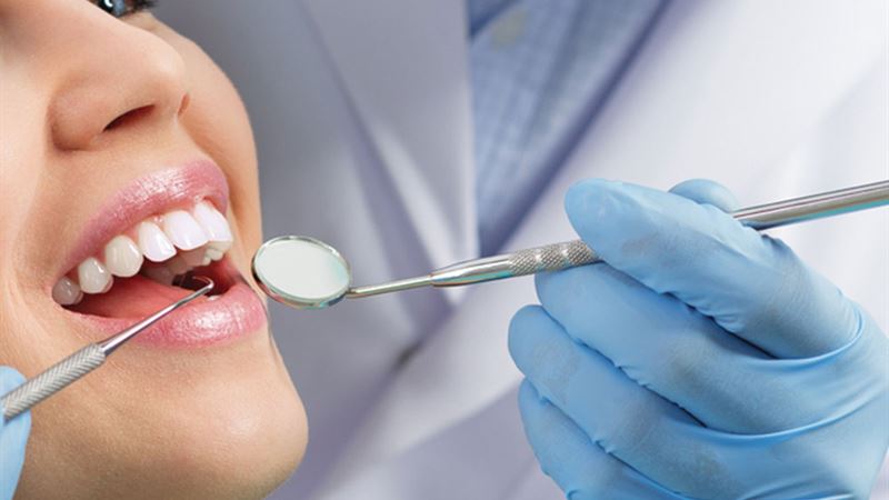 Comprehensive Guide to Digital Inspection Mirrors and Their Advanced Features