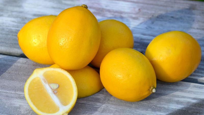 Comprehensive Home Remedies and Self-Care Strategies for Plantar Fasciitis Relief