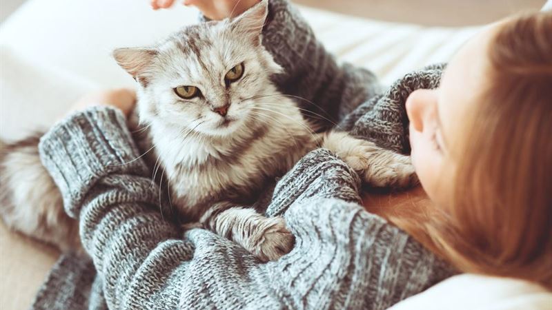Essential Pet Accessories Every Cat Owner Should Consider for a Happy, Healthy Feline