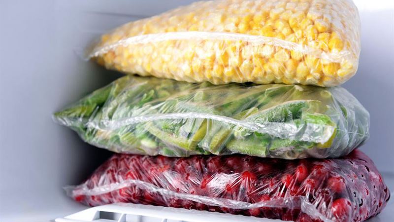 Comprehensive Guide to Different Types of Freezers for Your Home and Business