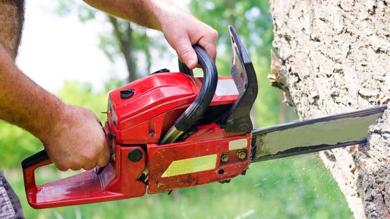 Comprehensive Guide to Chainsaws and the Market-Leading STIHL Brand