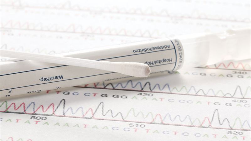 Versatile Applications of Large Cotton Swabs in Cleaning and Maintenance