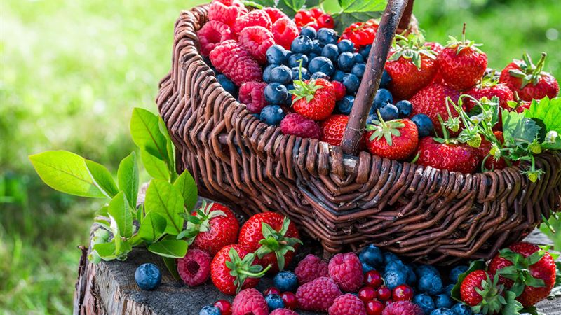 Effective Dietary Strategies and Medications for Controlling Overactive Bladder