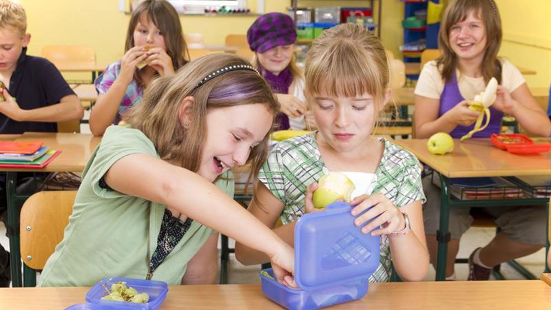 Healthy and Delicious School Snack Ideas to Keep Kidsenergized