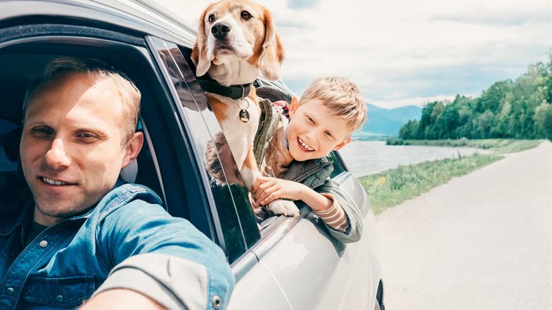 Comprehensive Guide to Pet Insurance for Veterinary Care and Preventive Services