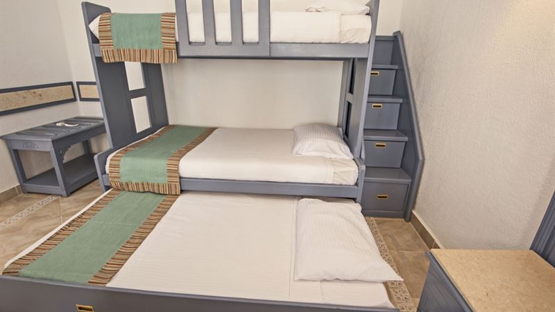 Comprehensive Guide to Purchasing High-Quality Bunk Beds Online