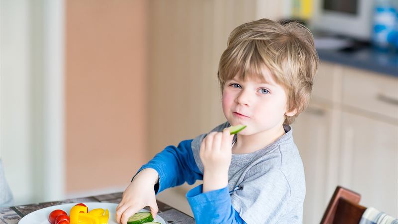 Healthy Snack Ideas and Guidelines for Children