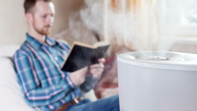 Comprehensive Guide to Selecting the Perfect Indoor Air Purifier for Your Home