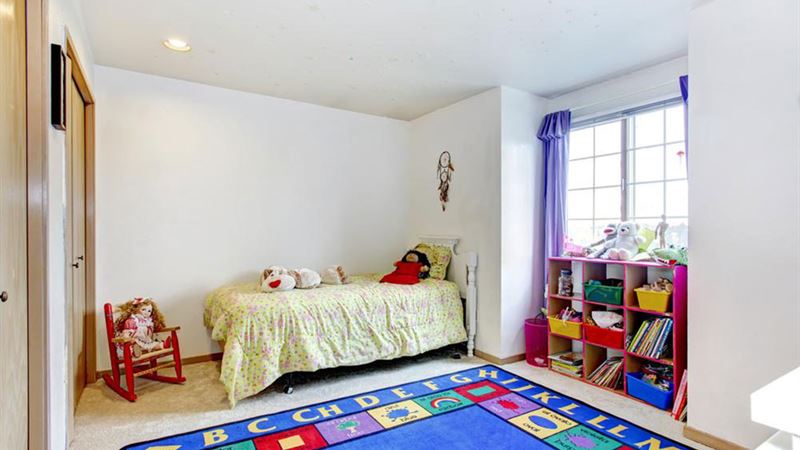 Comprehensive Guide to Area Rugs: Types, Uses, and Care Tips