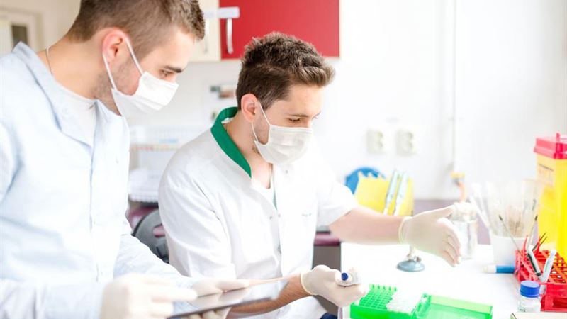 Comprehensive Guide to RN-to-BSN Programs: Elevate Your Nursing Career