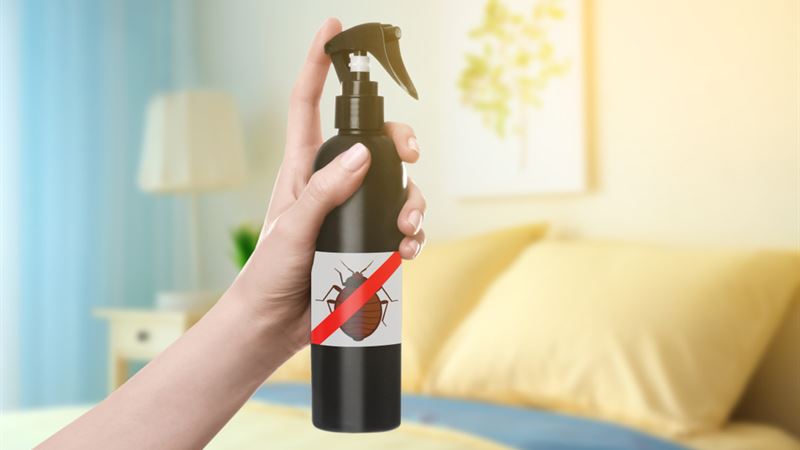 Ultimate Guide to Effective Bed Bug Sprays: Top Products and Application Strategies