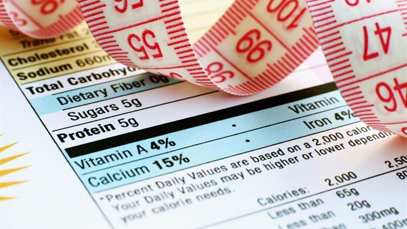 The Evolution and Significance of Nutrition Across Generations