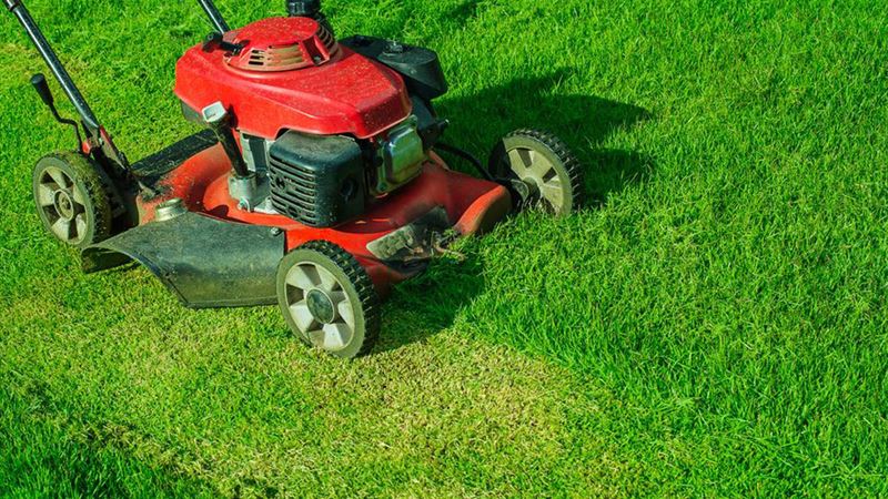 Expert Tips for Selecting the Perfect Lawn Mower for Your Garden