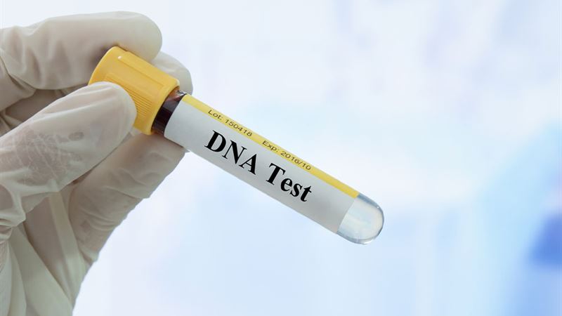 Essential Guidance Before Embarking on a DNA Testing Journey