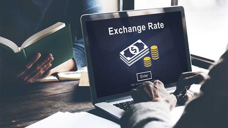 Understanding Currency Exchange Rates: Factors, Effects, and Global Significance
