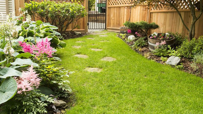 Comprehensive Strategies for Preventing and Eradicating Tick Infestations in Your Yard