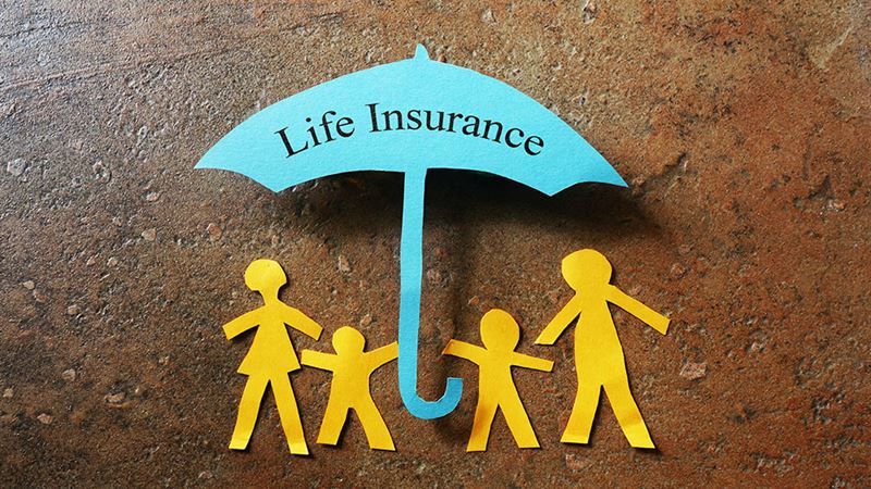 Comprehensive Guide to the Top 4 Leading Life Insurance Providers