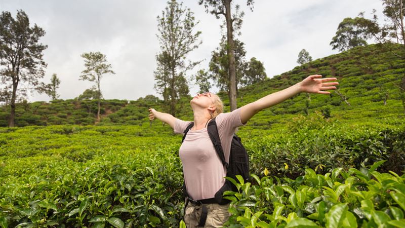 Exciting Ways to Make the Most of Your Summer Finale